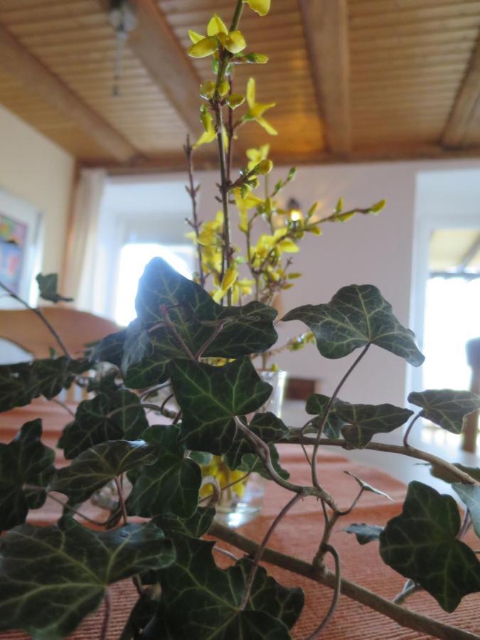 Alpaka-Ferien Apartment Wiechs am Randen Екстериор снимка